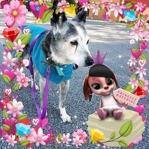 Meet your Posher, Fiona